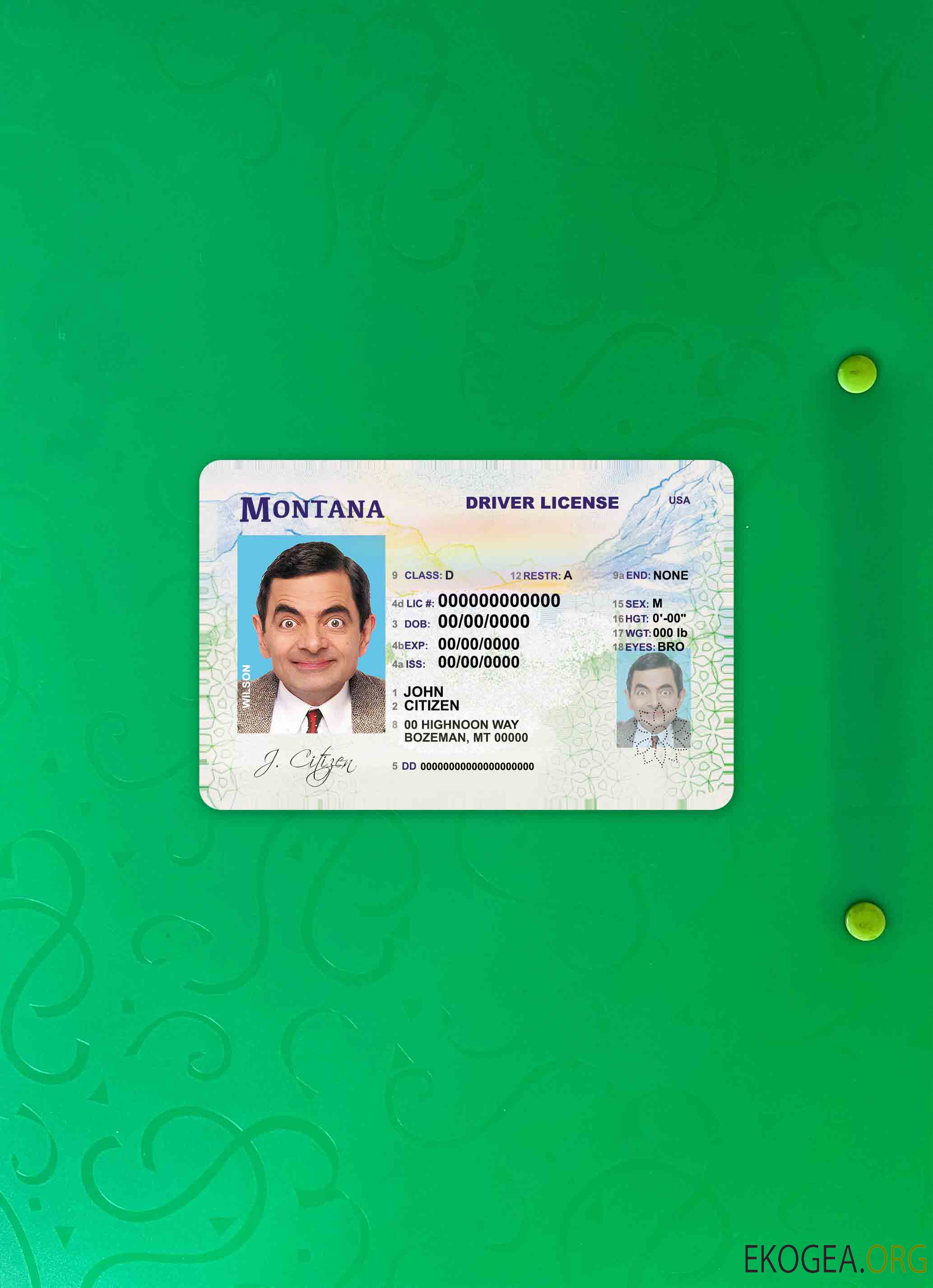 USA Montana DL photolook AVANT